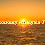 Economy Analysis 371