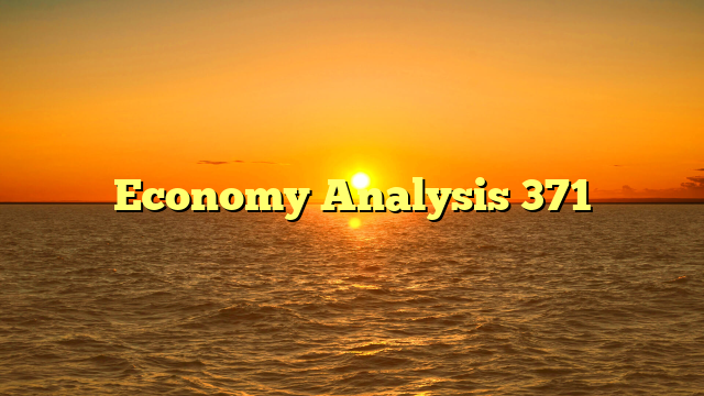 Economy Analysis 371