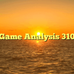 Game Analysis 310