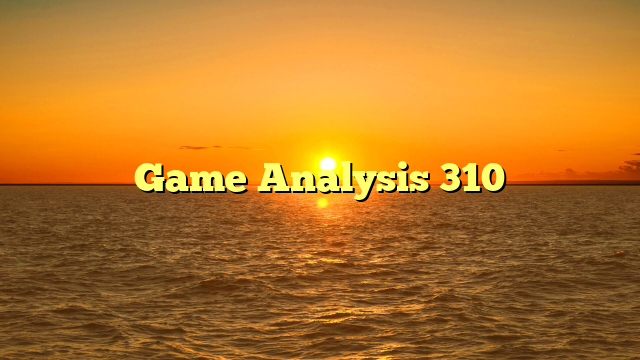 Game Analysis 310