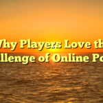 Why Players Love the Challenge of Online Poker