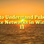 How to Understand Public vs Private Networks in Windows 11